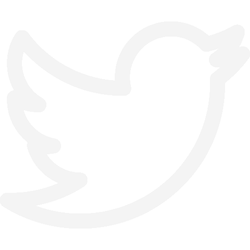 collegamento a twitter